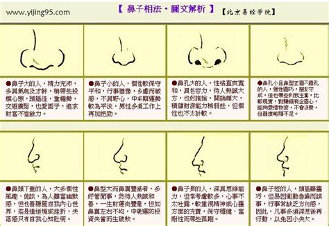 鼻子有志|「面相」鼻為面王，鼻子看你性格和財運！